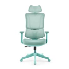 Ergomy Colore | Stoff / 3D Netz | Rahmen: Bunt - Home Office Bürostuhl Türkis