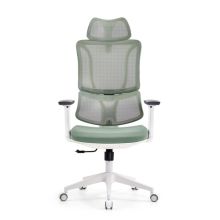ERGOMY W | Stoff / Netz | Rahmen: Weiß - Profi Bürostuhl Grün