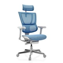 ERGOHUMAN SLIM G GEN2 | Netz - Luxus Chefsessel Blau