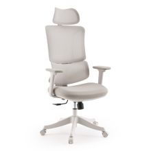 Ergomy Colore | Stoff / 3D Netz | Rahmen: Bunt - Home Office Bürostuhl Beige