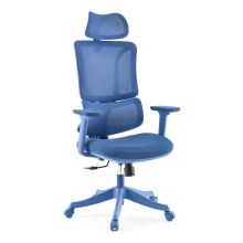 Ergomy Colore | Stoff / 3D Netz | Rahmen: Bunt - Home Office Bürostuhl Blau