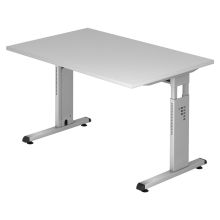 MEGA 12 S | Schreibtisch - 120 x 80 Grau/Silber höhenverstellbar