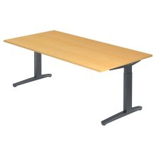 XTRA XB 2E GG | Schreibtisch - Buche 200 x 100 höhenverstellbar
