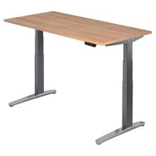 XBHM 16 GC | Schreibtisch - 160 x 80 Nussbaum elektrisch höhenverstellbar