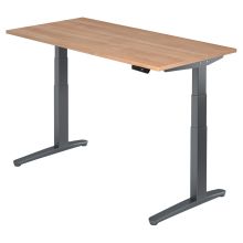 XBHM 16 GG | Schreibtisch - 160 x 80 Nussbaum elektrisch höhenverstellbar