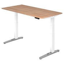 XBHM 16 WC | Schreibtisch - 160 x 80 Nussbaum elektrisch höhenverstellbar