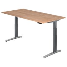 XBHM 2E GC | Schreibtisch - 200 x 100 Nussbaum elektrisch höhenverstellbar
