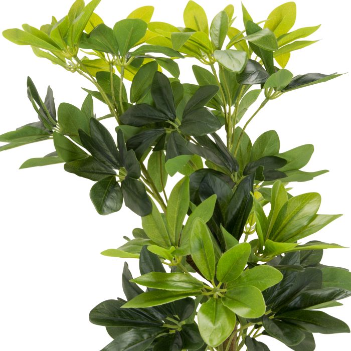 SCHEFFLERA - Kunstpflanze Grn