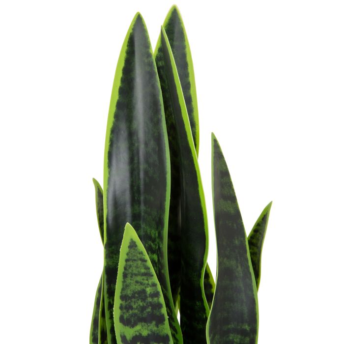 SANSEVIERIA - Kunstpflanze