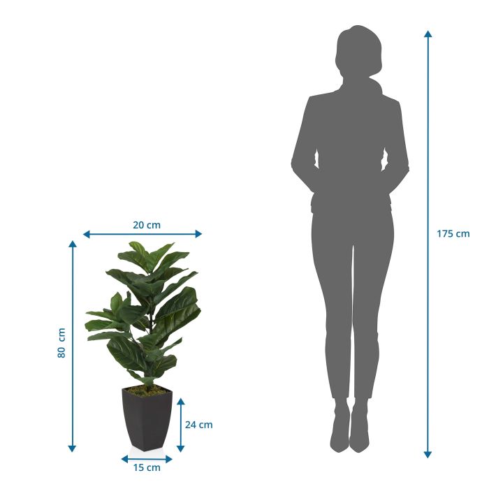 zweifarbige monstera Monstera Deliciosa Variegata – Foliage Dreams main image 1