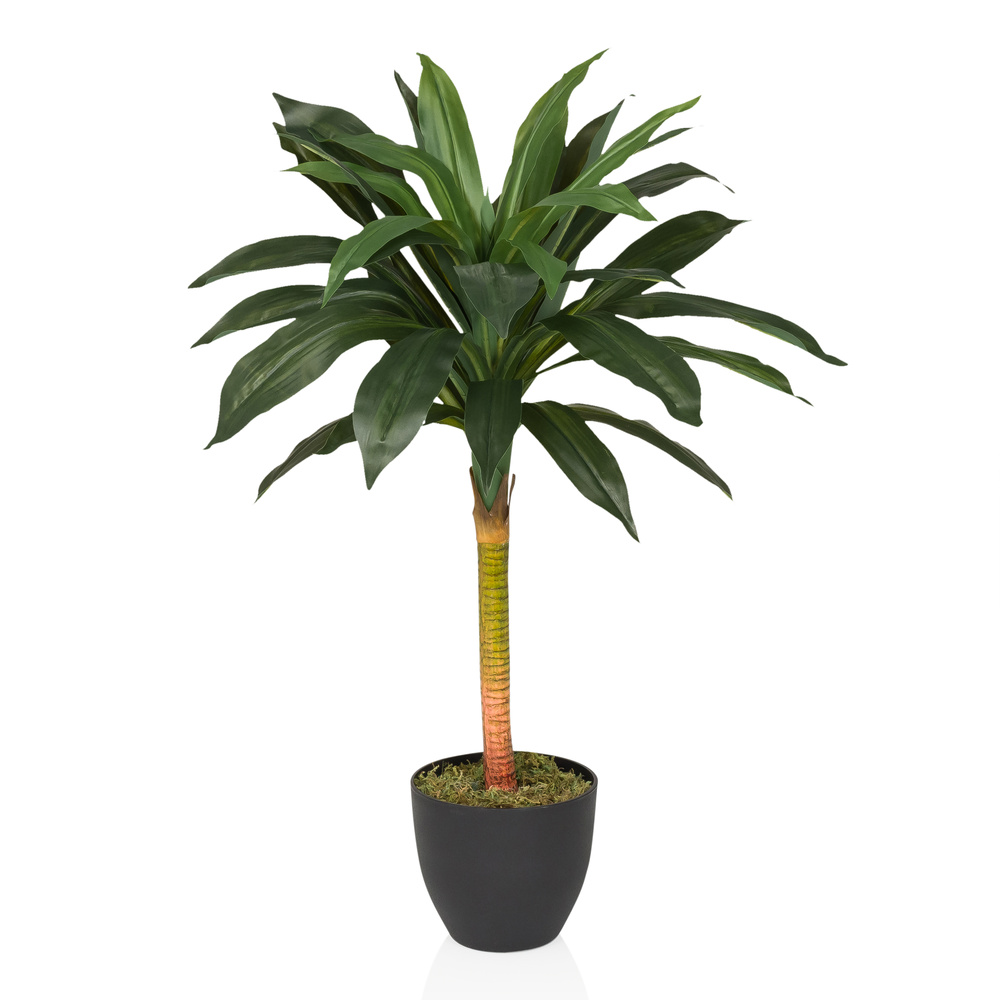 DRACAENA I - Kunstpflanze Grn